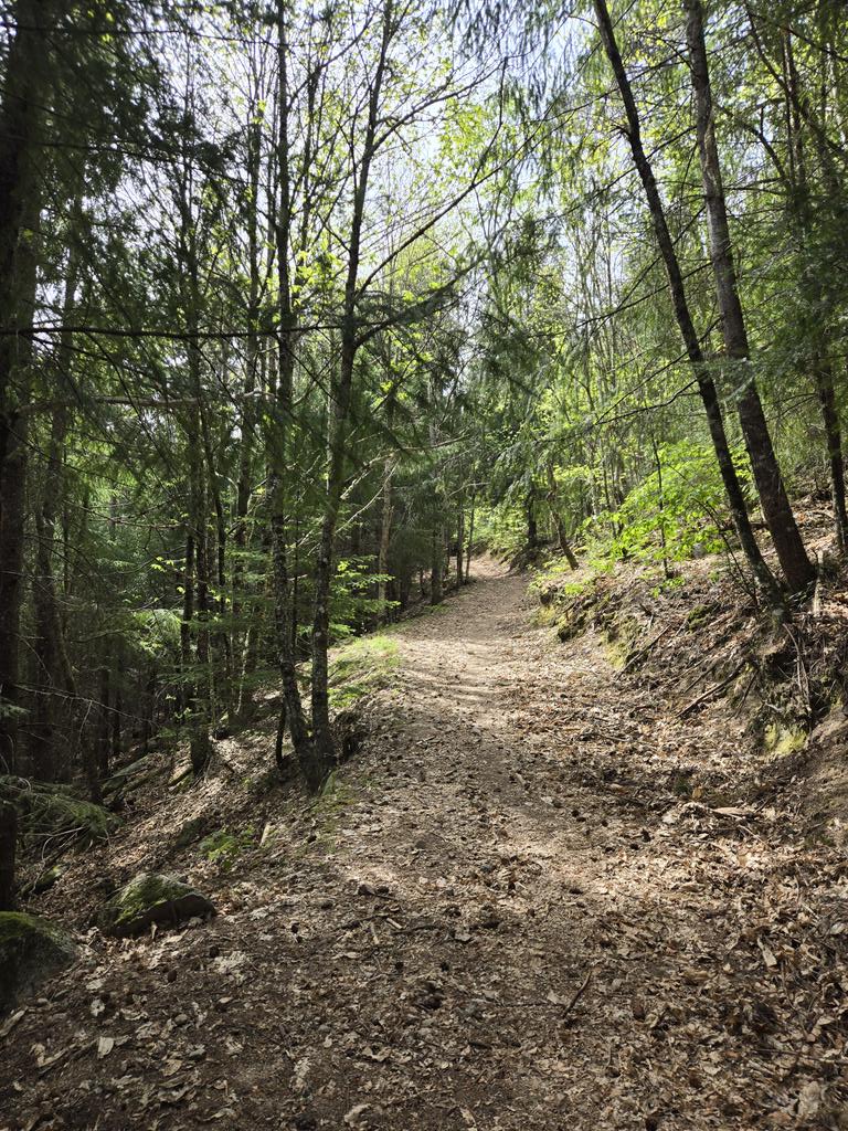 SantiagoWeek13's tweet image. Rota da Javali e
Rota do Poco do Inferno

Manteigas, Portugal

#hiking
#thursdayvibes