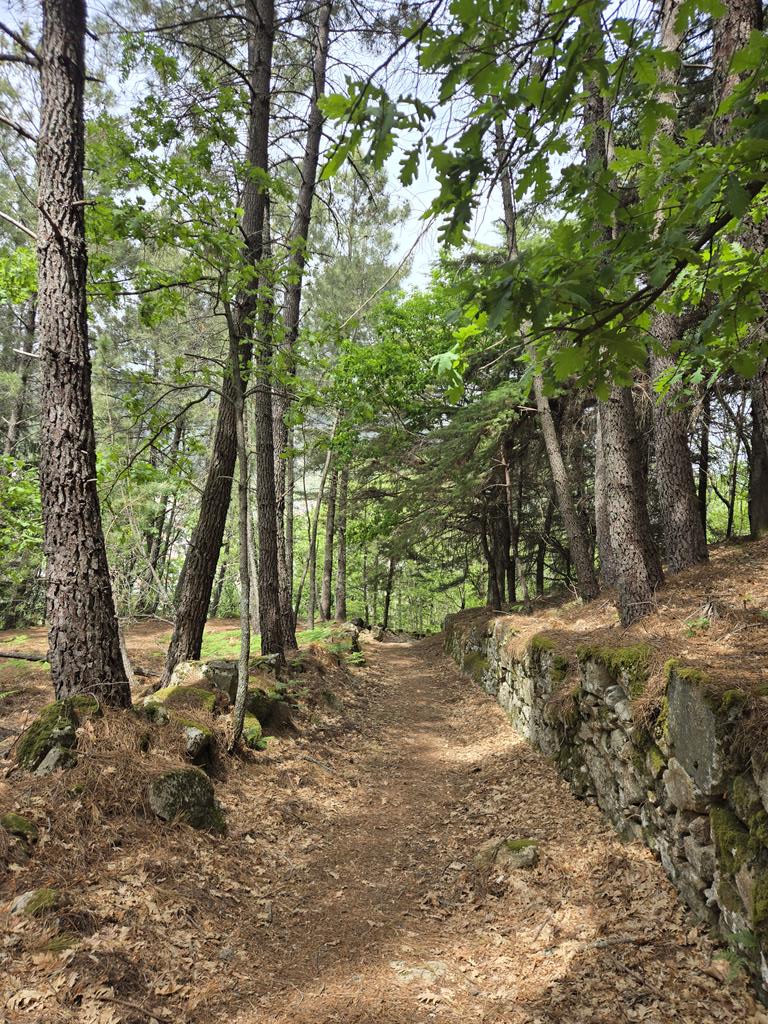 SantiagoWeek13's tweet image. Rota da Javali e
Rota do Poco do Inferno

Manteigas, Portugal

#hiking
#thursdayvibes