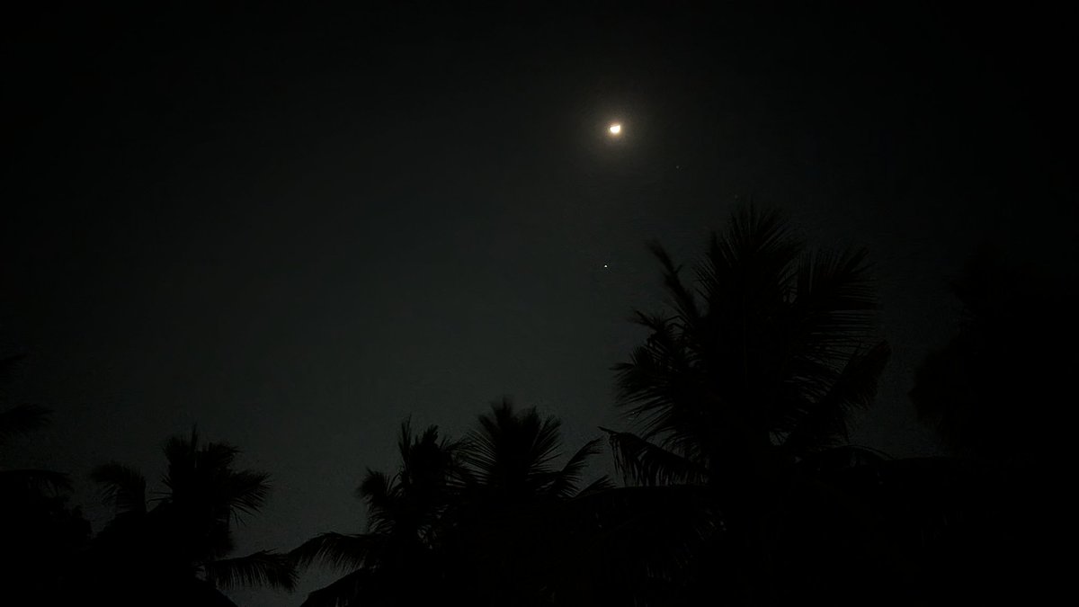 rawdyiyer's tweet image. Chilling with #Moonshine 🌙