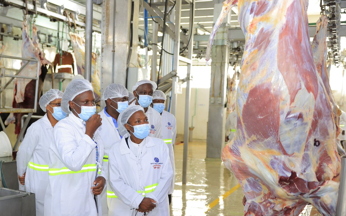 FAO in Kenya tweet media
