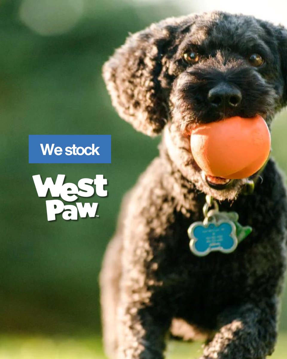 Alfie_BT's tweet image. Extremely Durable and Tough 💪🏼
The perfect toys for chewing, tugging and fetching 🐶

See our full range of West Paw toys using the link 🔗 buff.ly/7COf19L

#Westpaw #Feelwells #Toys #Dogtoys #Chewing #Dog