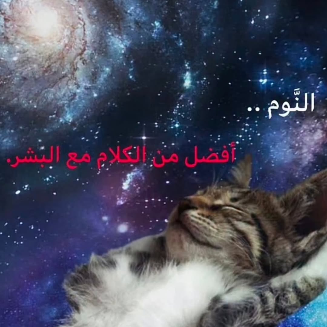 Nawaf Almutairi (@nebo_110) on Twitter photo 