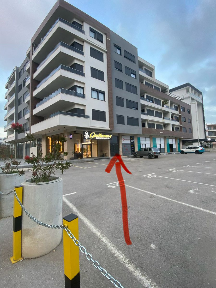 Louis Forster tweet media