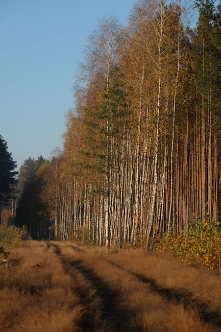 Gregory Aguilar tweet media