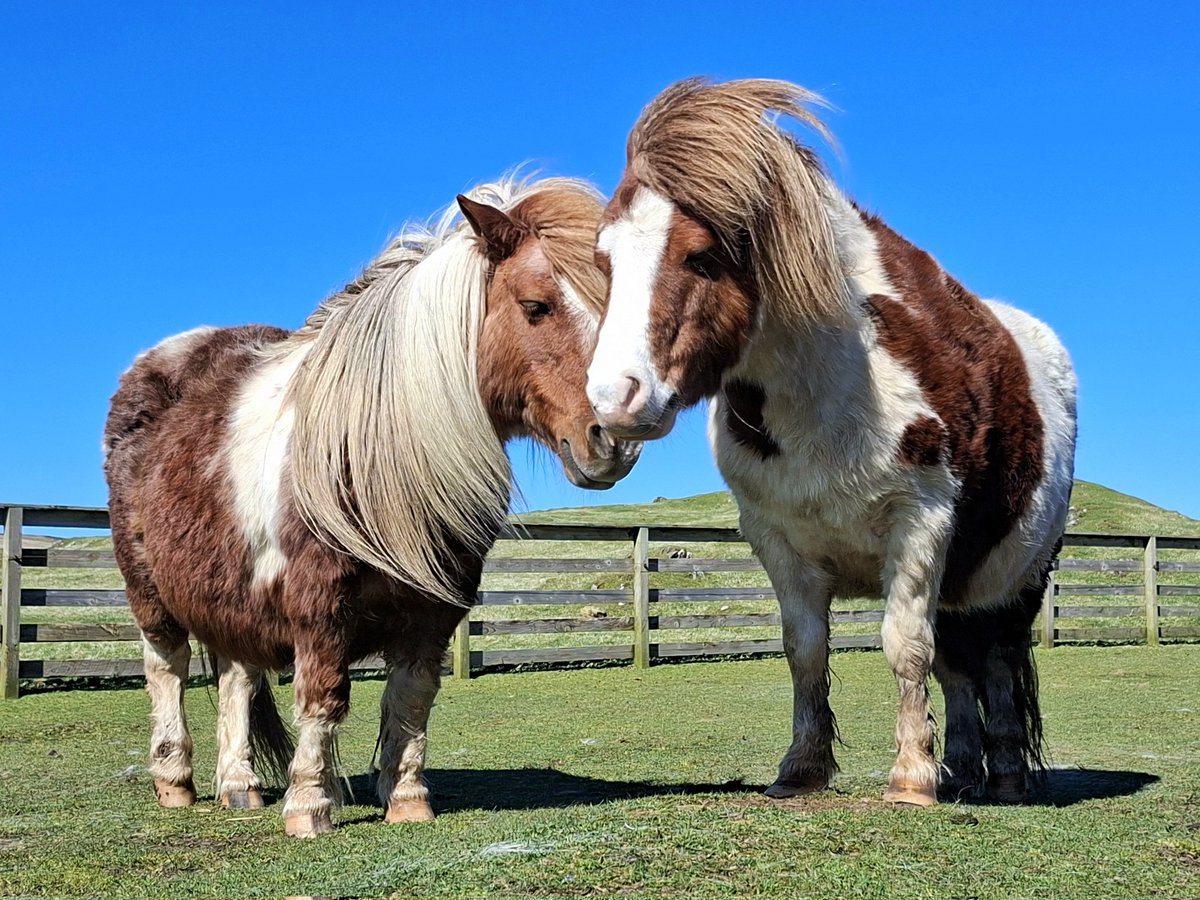 Catherine Munro tweet media