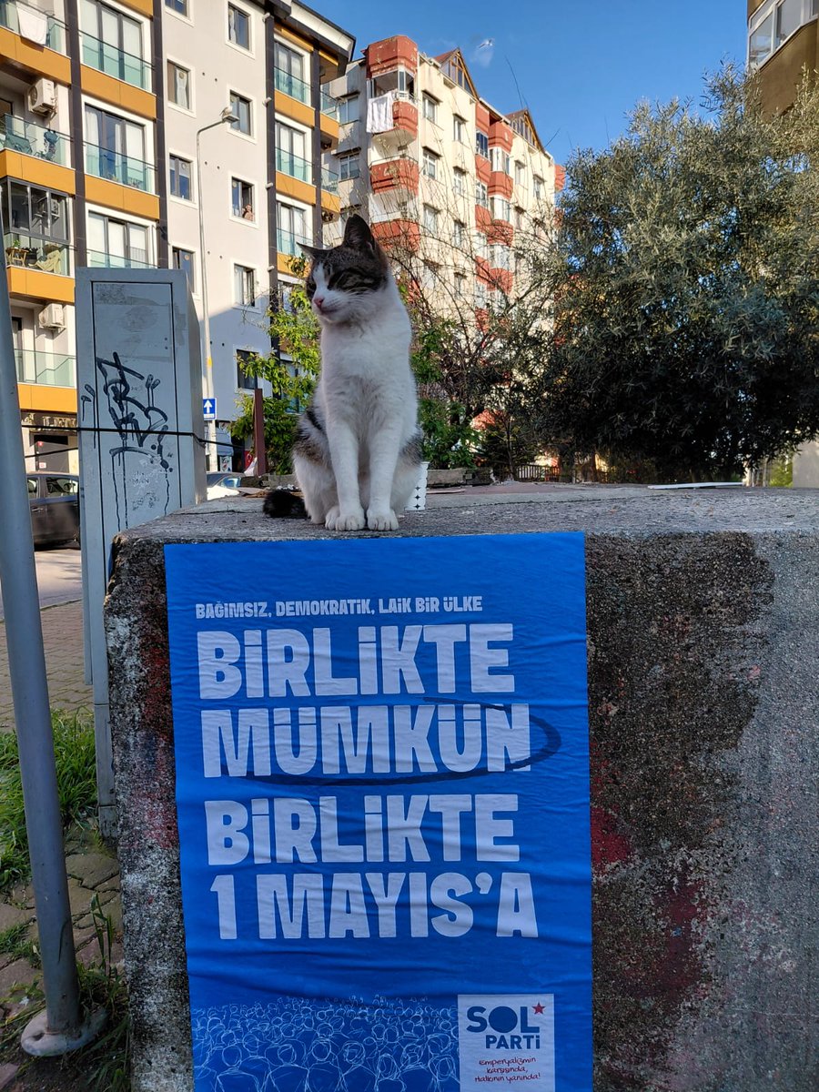 kartal_sol's tweet photo. Bağımsız, Demokratik ve Laik Bir Ülke Birlikte Mümkün!

1 Mayıs'ta Hep Birlikte Kadıköy'deyiz! https://t.co/63O7Y21m8s