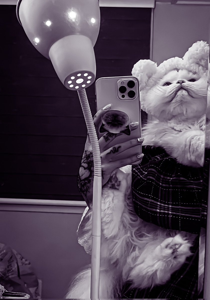 ׄ͏ ♱𝅼͏͏ ͏͏ ‌͏͏ℳι𝘆𝗮𝗓͟𝖺͟𝗄͟𝗂͟. 🦇 tweet media