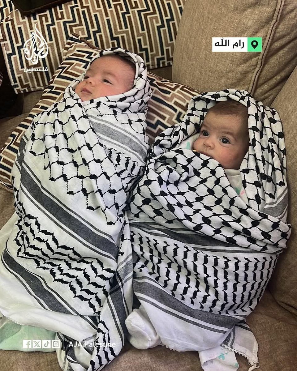 Dr.mostafa project🇵🇸𓂆 tweet media