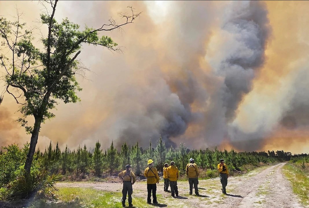 🚨Georgia y Florida reportan incendios activos

🔴Unos 170 incendios forestales en Georgia y Florida destruyeron 49 viviendas y provocaron evacuaciones masivas. La sequía, los vientos y la baja humedad complican el combate contra las llamas.