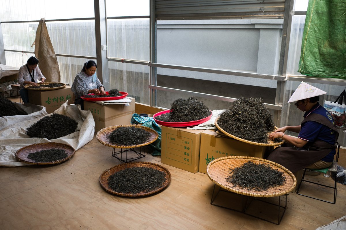 お茶の専門店HOJO tweet media