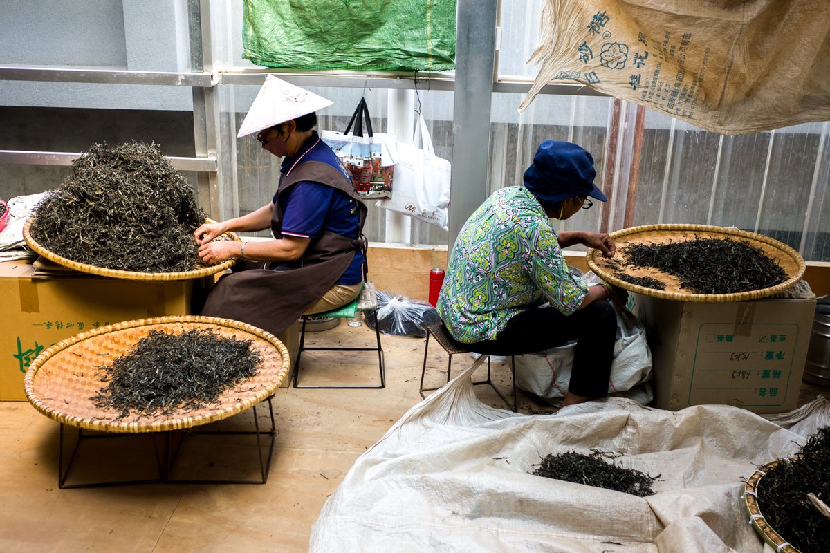 お茶の専門店HOJO tweet media