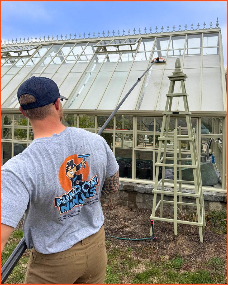 WindowNinjasUSA's tweet image. Every bit of sunlight counts for plants in a greenhouse, so keeping all the glass clean makes a big difference! ☀️🌿

-
#windowninjas #crystalclear #windowcleaning #windowcleaner #professionalservice #glasscleaning #greenhouse #greenhouses #greenhouselife #plantcare