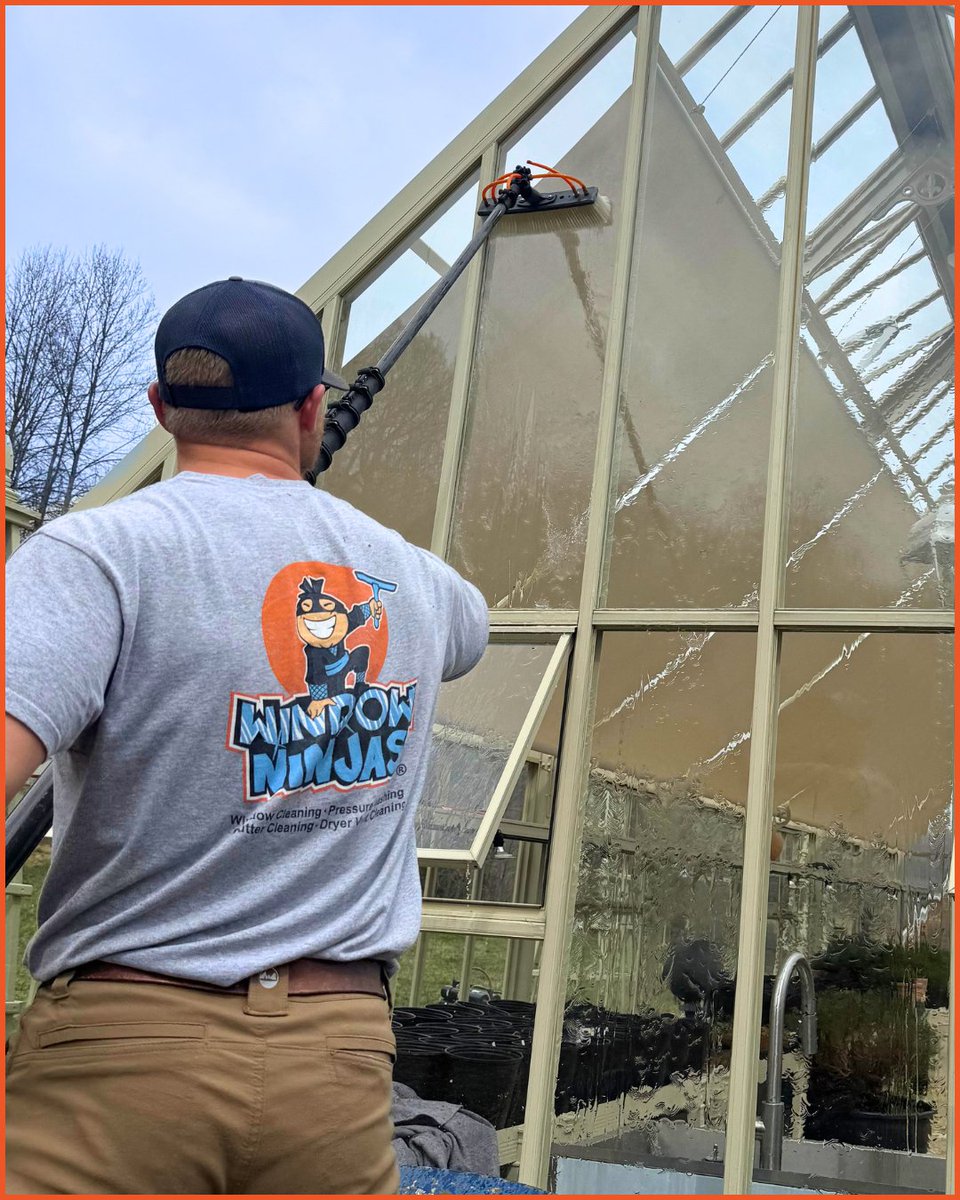 WindowNinjasUSA's tweet image. Every bit of sunlight counts for plants in a greenhouse, so keeping all the glass clean makes a big difference! ☀️🌿

-
#windowninjas #crystalclear #windowcleaning #windowcleaner #professionalservice #glasscleaning #greenhouse #greenhouses #greenhouselife #plantcare