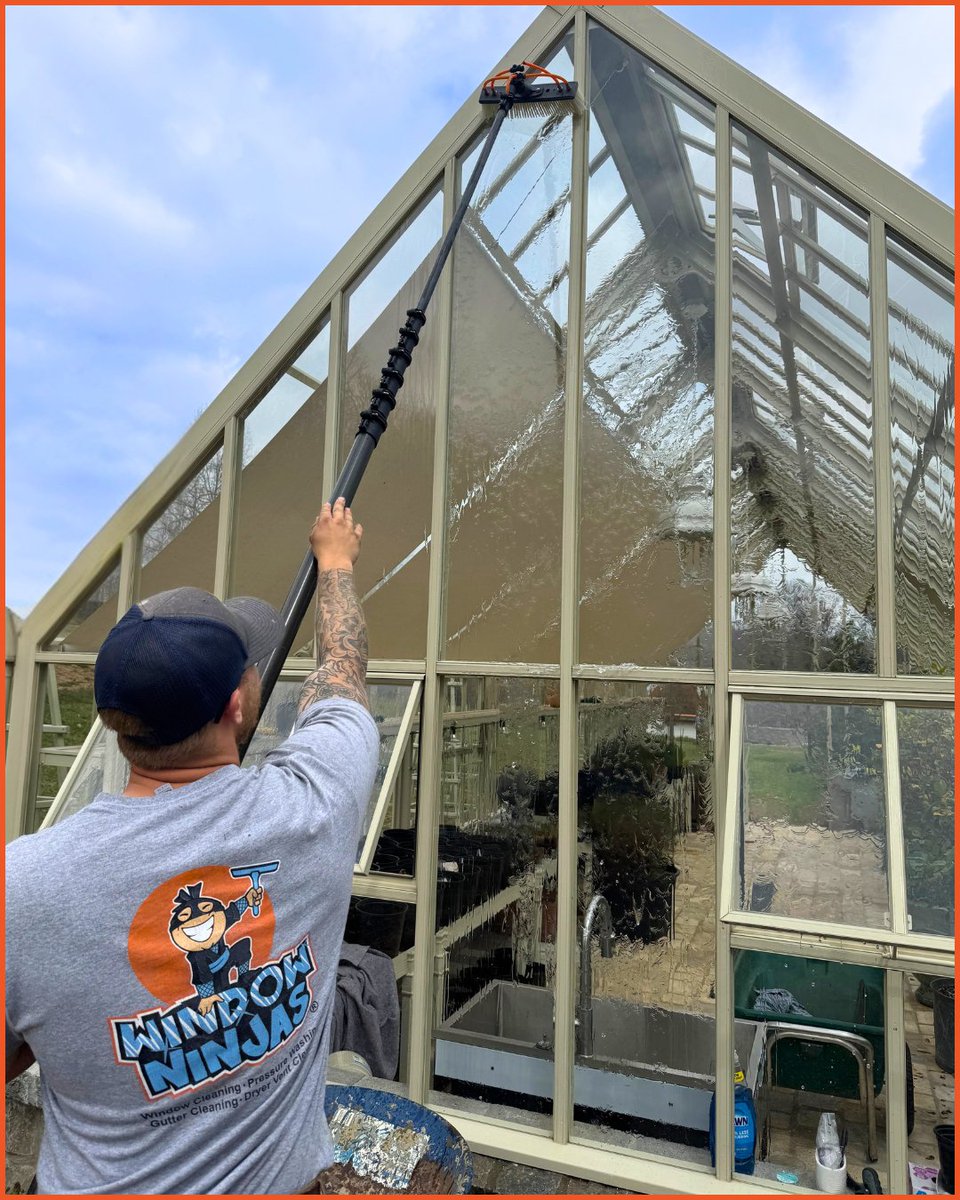 WindowNinjasUSA's tweet image. Every bit of sunlight counts for plants in a greenhouse, so keeping all the glass clean makes a big difference! ☀️🌿

-
#windowninjas #crystalclear #windowcleaning #windowcleaner #professionalservice #glasscleaning #greenhouse #greenhouses #greenhouselife #plantcare