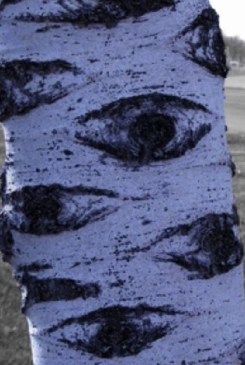 Mamizers the mitten tweet media