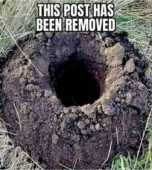 craigjackman's tweet photo. Can you dig it? https://t.co/1xW6Hdej2K