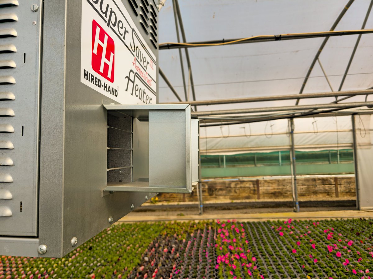 Dr Boilers 🐰 tweet media