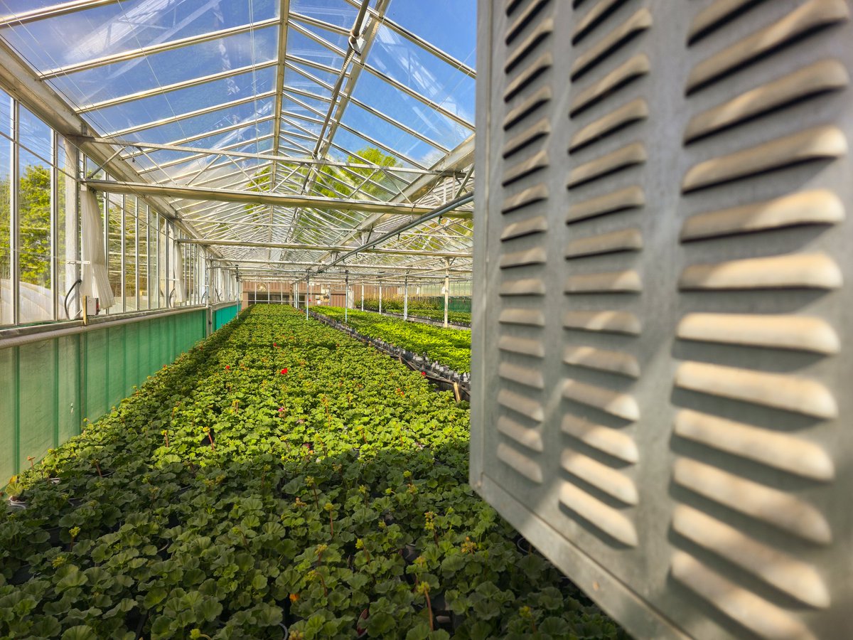 Dr Boilers 🐰 tweet media