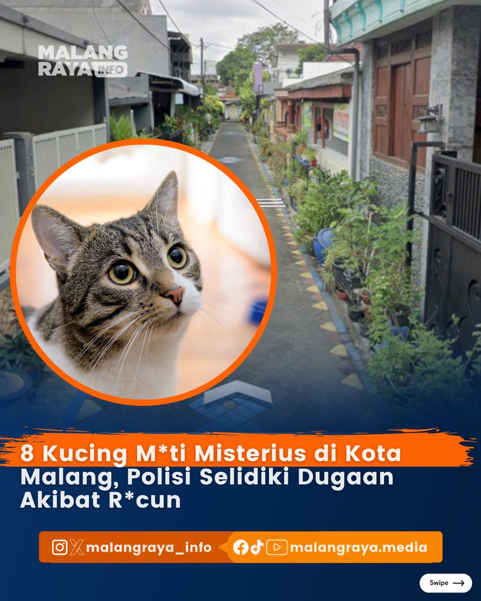 Malang Raya Info tweet media