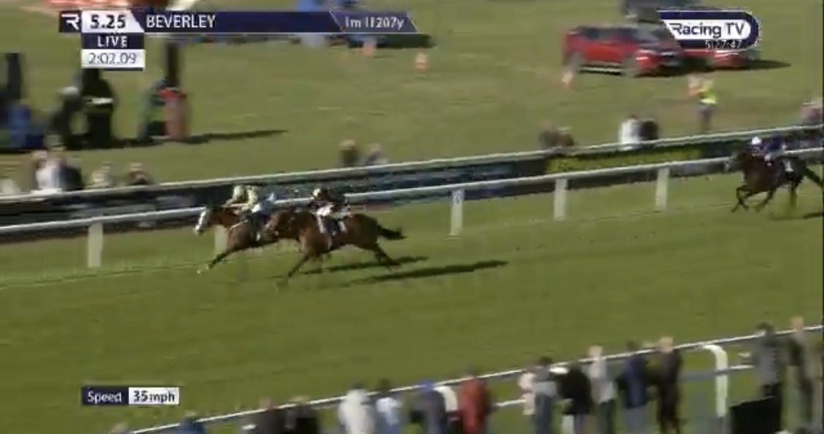 equinties's tweet photo. BARBURY BOY both gets Rossa out the shit and delivers the money for Andrew Gemmell and friends. 

There’s a joke about us following the gamble blind somewhere. https://t.co/yqCT3dxzcx