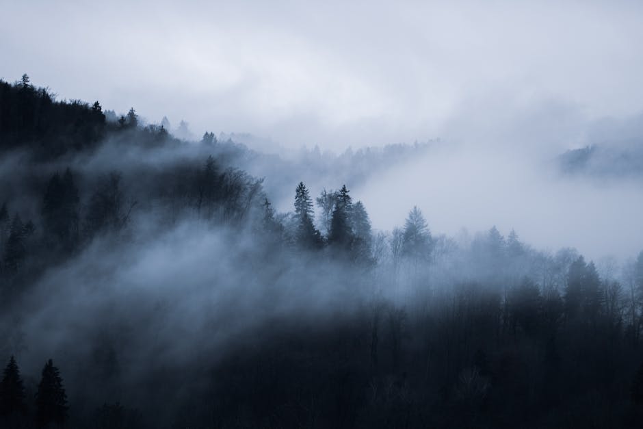 Brian Gray tweet media