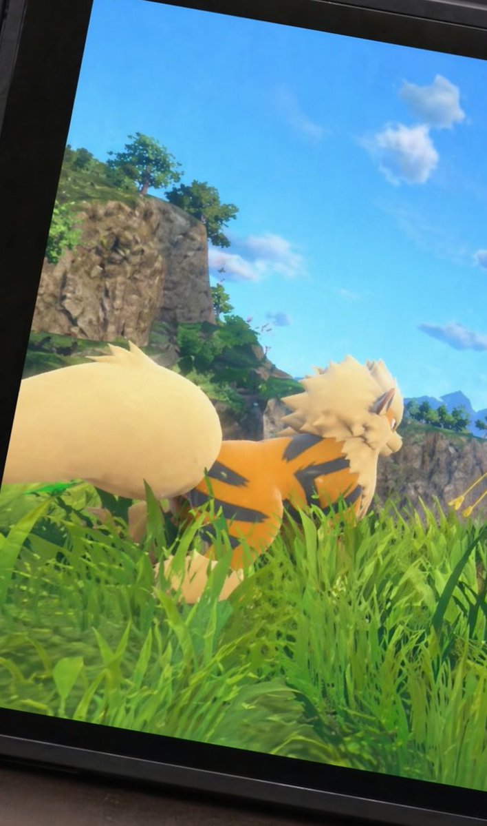 PKMNLEAK - Leaks TIME (WINDS/WAVES) tweet media