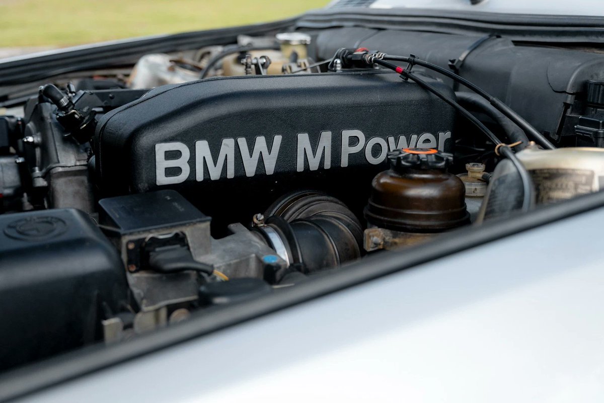 UNICARNS tweet media