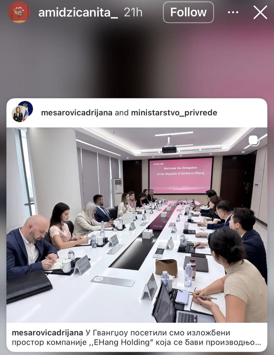 Marinika Tepić tweet media