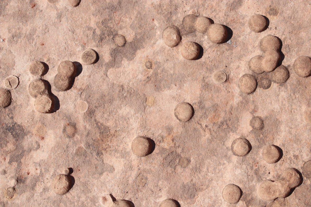 J_Wise_geology tweet media