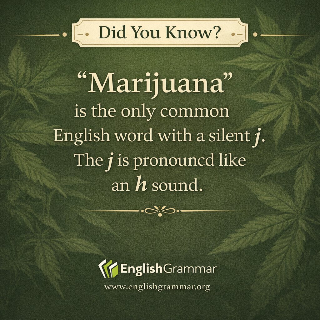 English Grammar tweet media