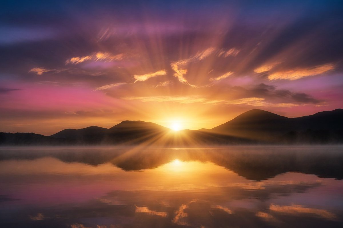 𝓛𝓪𝝂𝓮𝓷𝓭𝓮𝓻 🪻 tweet media