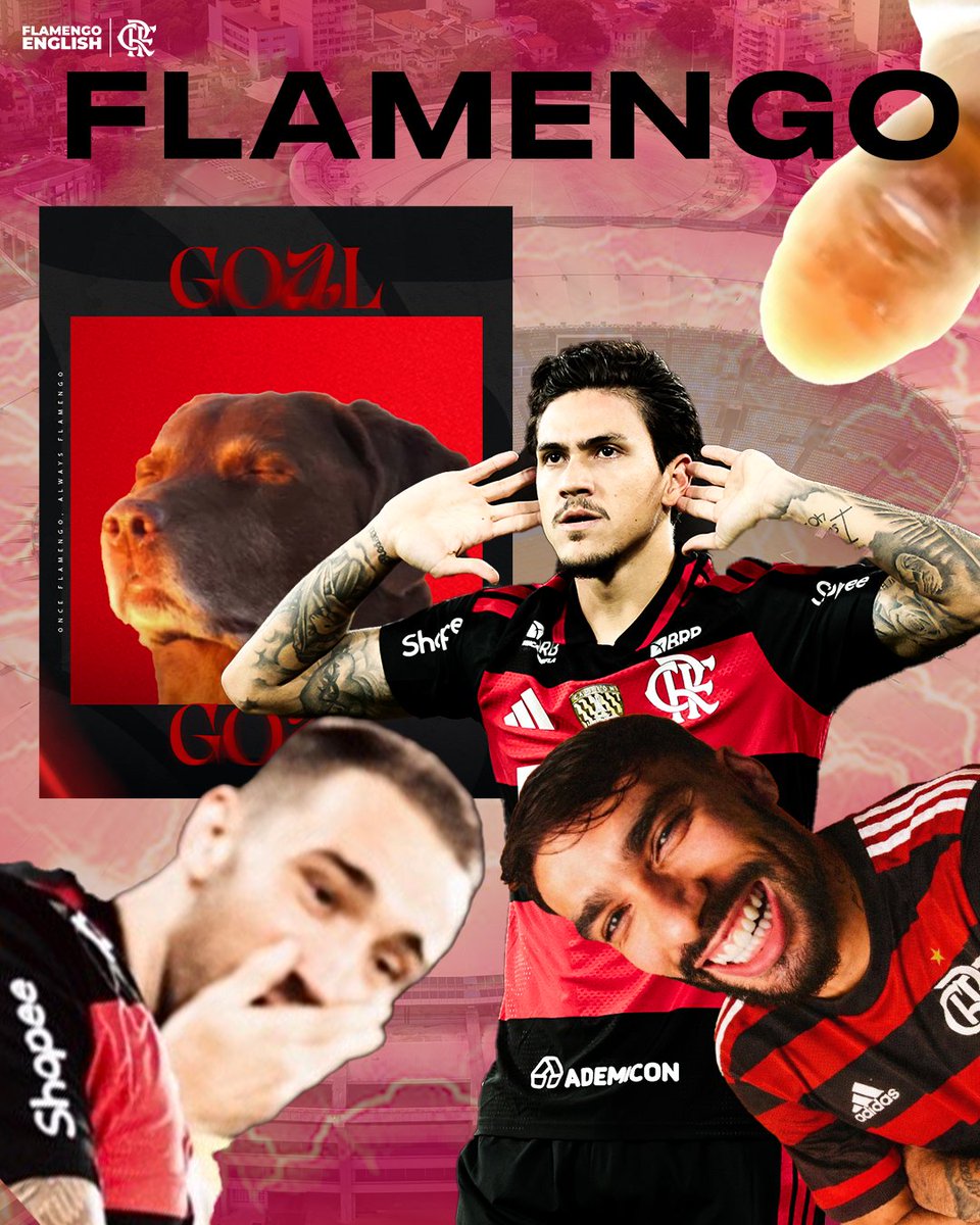 FL4MEN9O tweet media