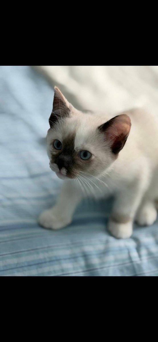 The Redheaded libertarian tweet media