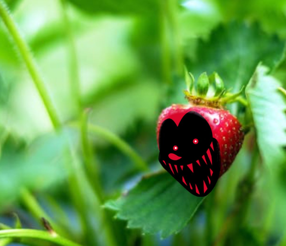 Oh hey! A Fatal strawberry!👀
#FatalErrorSweep #FatalFiles #execommunity #LendARing