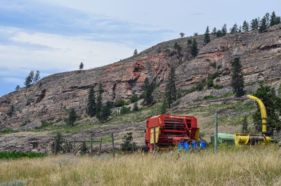 EntSocBC's tweet photo. South Okanagan Butterfly and Dragonfly Counts on Saturday June 27 and Sunday June 28. We’ll be counting in the Vaseux Lake Christmas Bird Count Circle. If you’re interested in participating in either count please fill this Google Form (https://t.co/iyrKYFvsqg ). https://t.co/hNNh9o95xD