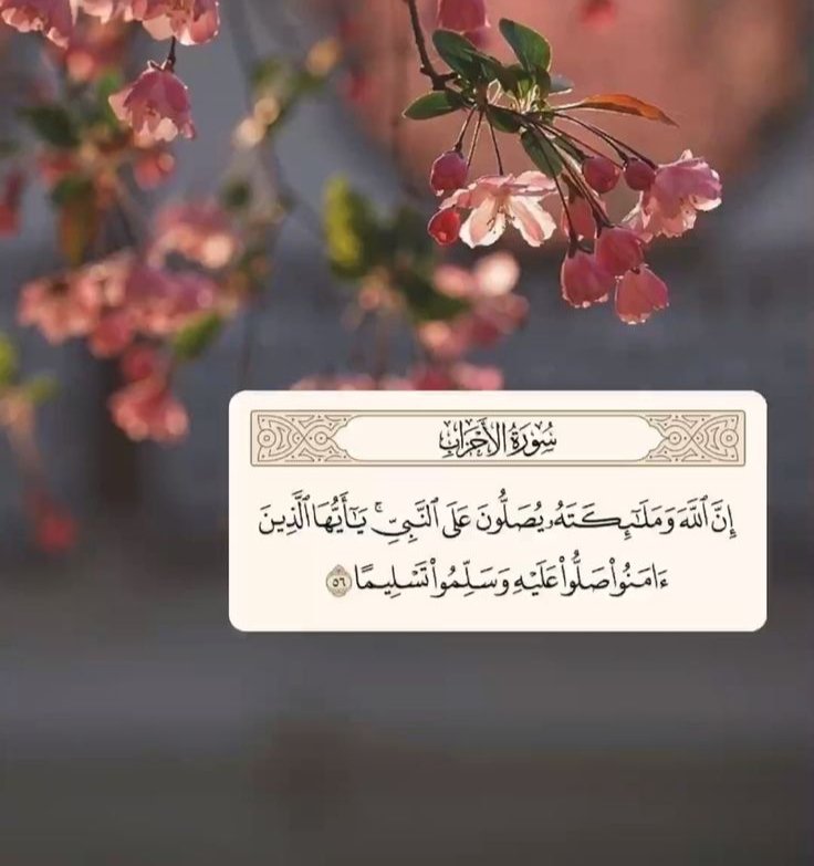 ﷽
﴿إنّ اللهَ وملائكتَهُ يُصَـلُّونَ على النبي يا أيها الذين آمنوا صَلُّوا عليه وسلِّمُوا تسليما﴾.
اللهم صلِ وسلّم وبارك علىٰ سيدنا وحبيبنا وشفيعنا نبينا محمدﷺ" وعلى آله وصحابتة آجمعين