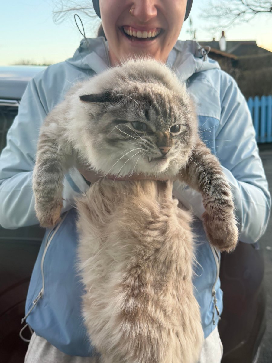 Fergus rüzgardan nefret ediyor, İskoçya kıyısında yaşıyoruz