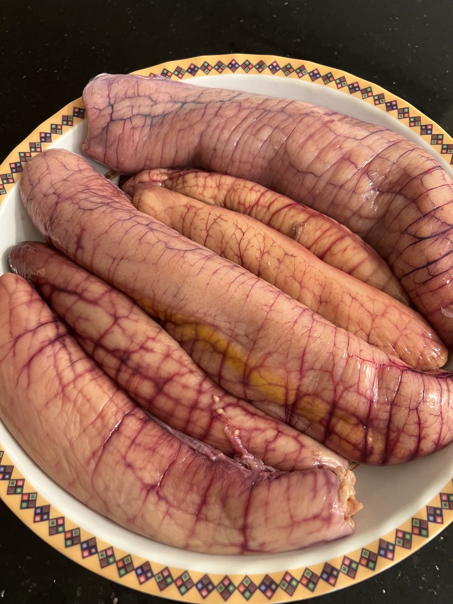 QAIS ALQASIMIًً tweet media