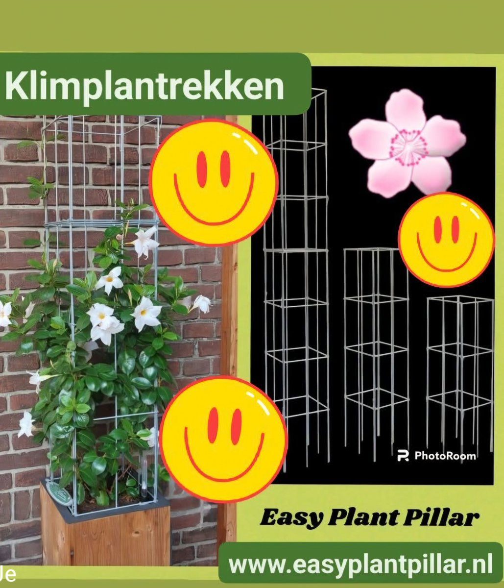 KlimplantenAmsterdam tweet media