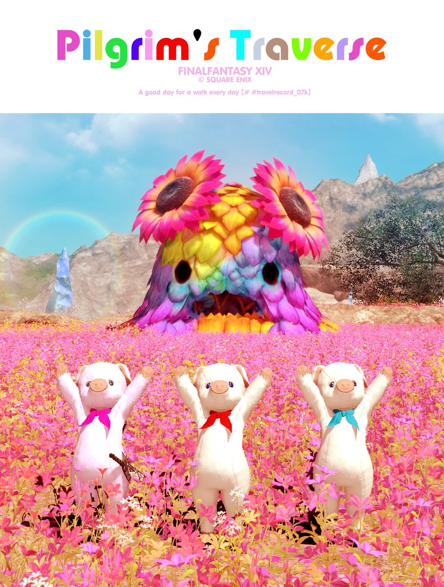 見きれるカイ |🐽˙) tweet media