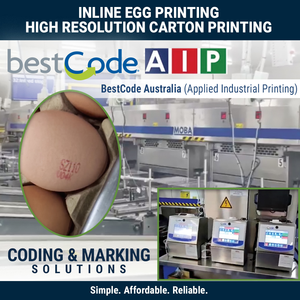 BestCode tweet media