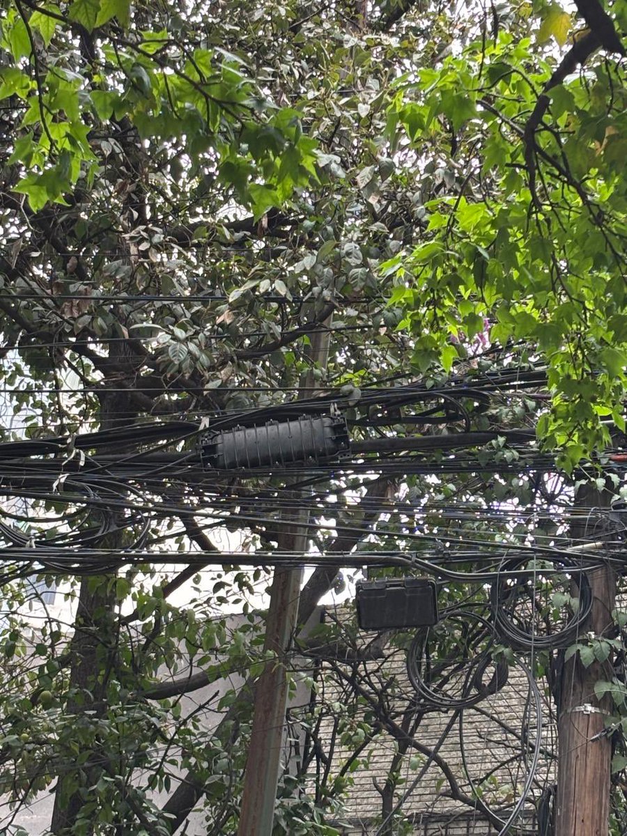 pilfernandez's tweet image. ‼️‼️‼️Dia 24‼️‼️‼️ 

  Y!!!!!!……….👇👇👇🖐️🖐️
CONTANDO LA INEPTITUD @ClaraBrugadaM @Ceci_vadillo @GustavoGarciaMH de @mauriciotabe @cesar_m_garrido PONGAN ORDEN A #telmex #izzy y todas estas compañías IRRESPONSABLES @carlosslim @RicardoBSalinas 

EL PROBLEMA DEL CABLEADO esta