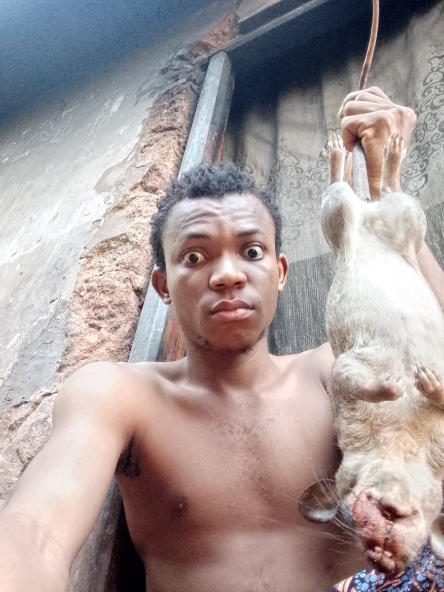 ℙ𝕒𝕤𝕔𝕙𝕒𝕝✭ tweet media