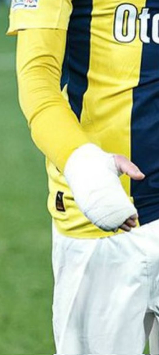 Florida’lı Türk 🇹🇷🇺🇸 🐊 tweet media