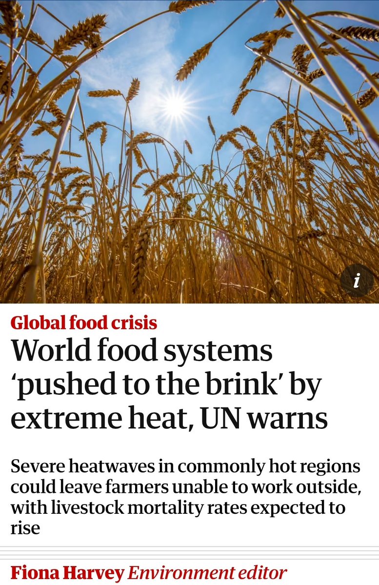 Leon Simons 🌍 tweet media