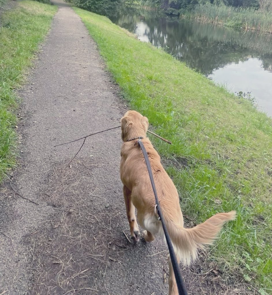 Masaki 𐂯 tweet media