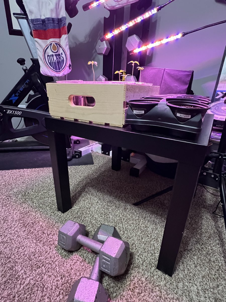 StonerDad 🇨🇦 tweet media