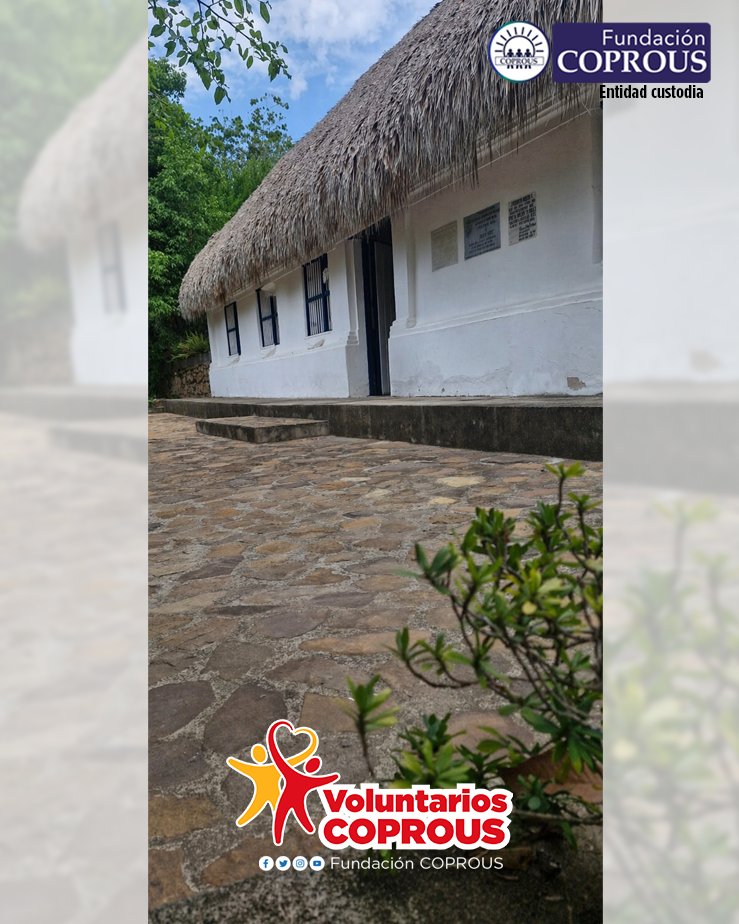 ongcoprous's tweet photo. Estas imágenes muestran el deterioro silenciono de nuestro patrimonio y también el compromiso puro de los Voluntarios COPROUS. En una labor que hoy no cuenta con ningun tipo de apoyo: los Voluntarios COPROUS son el único escudo que detiene el deterioro del Inmueble Patrimonial https://t.co/1qieQYl7UH