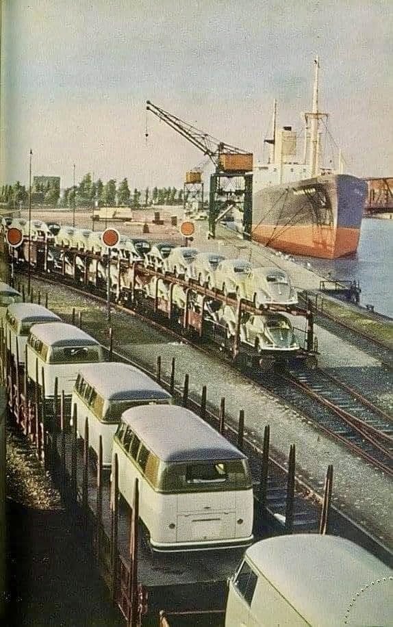 Volkswagen4ever's tweet image. #throwback #volkswagen #vw #type2 #barndoor #beetle