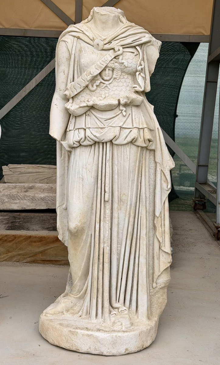 Gareth Harney tweet media